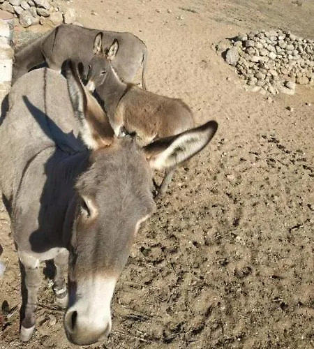 Apartmán Petra Pelikan Mykonos Town